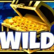 Retro Treasures: Wild