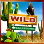 Route of Mexico: Wild