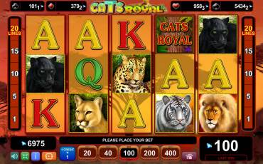 Royal Cats slot