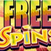 Safari Dream: Free-spins