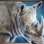 Savanna Roar: Rhino