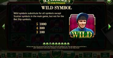 Scudamore’s Super Stakes: Wild