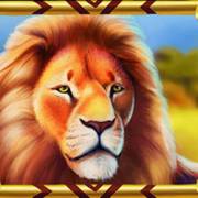 Serengeti Kings: Leo