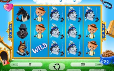 Smoking Dogs slot (Canada)