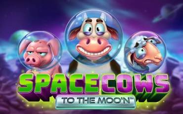 Space Cows to the Moo’n slot (Canada)