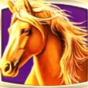 Stallion Kingdom: Wild