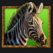 Stampede Gold: Zebra