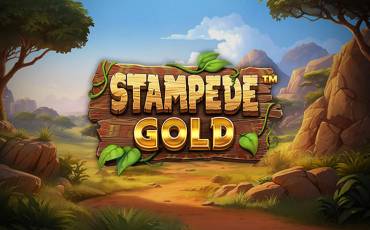 Stampede Gold slot (Canada)