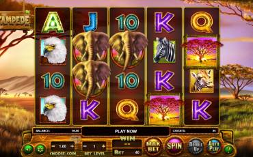 Stampede slot (Canada)