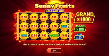 Sunny Fruits: Hold and Win: Features