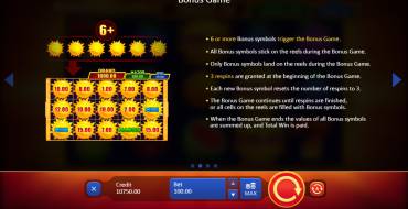 Sunny Fruits: Hold and Win: Bonus Game