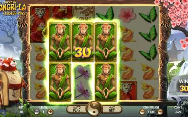 The Legend of Shangri La: Cluster Pays slot (Canada)