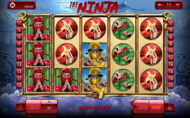 The Ninja slot (Canada)