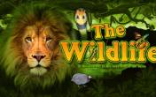 The Wildlife (logo)