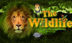 Play The Wildlife