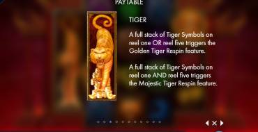 Tiger Temple: 