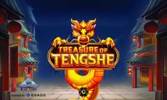Play Treasure of Tengshe