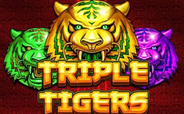 Triple Tigers slot (Canada)