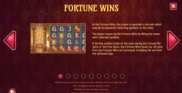 Turn Your Fortune: Prizes