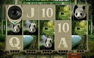 Untamed Giant Panda slot (Canada)