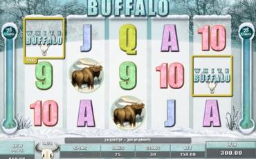 White Buffalo slot (Canada)