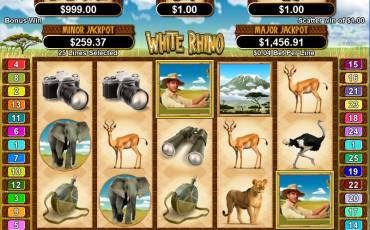 White Rhino slot (Canada)