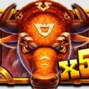 Wild Bison Charge: Wild X5