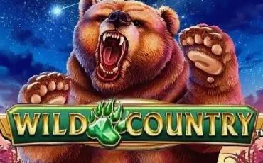 Wild Country slot (Canada)