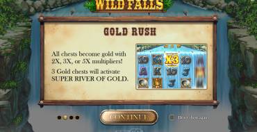 Wild Falls: Gold Rush