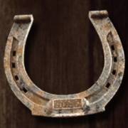 Wild Guns: Horseshoe