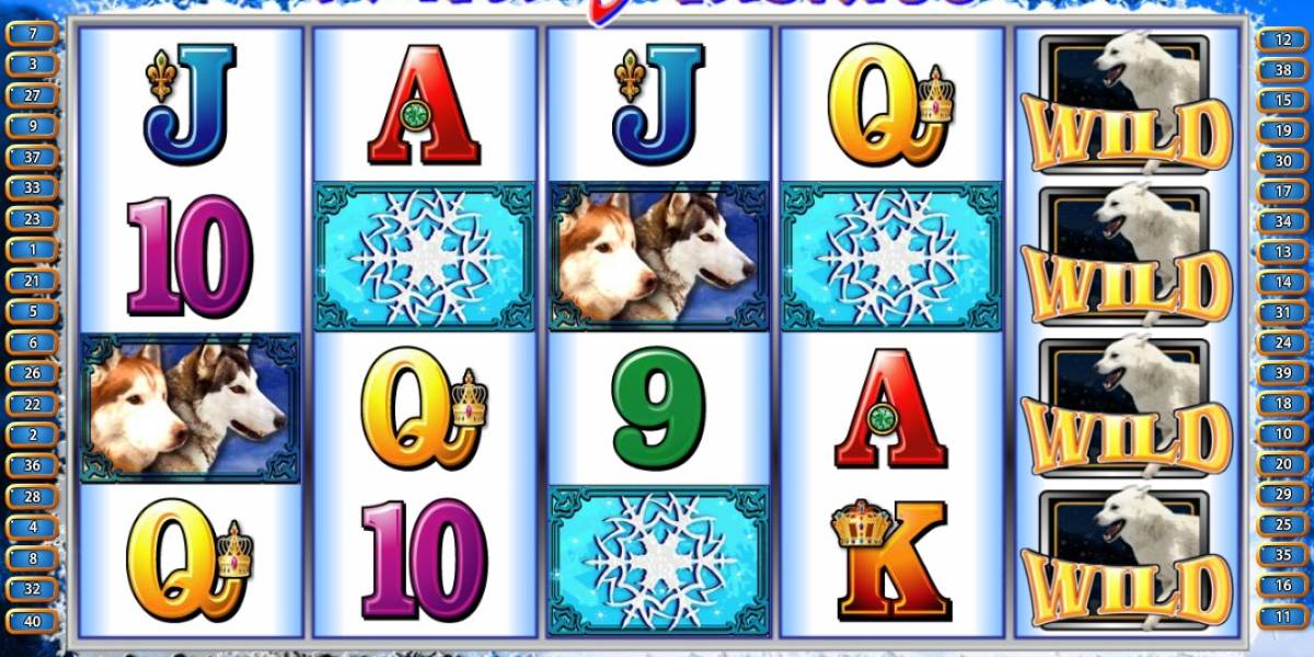 Wild Huskies slot (Canada)