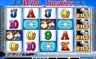 Wild Huskies slot (Canada)