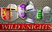 Wild Knights (logo)