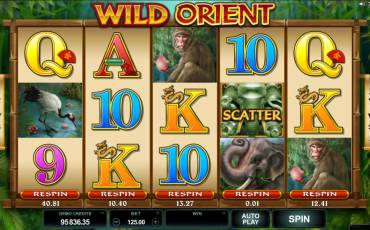 Wild Orient slot (Canada)