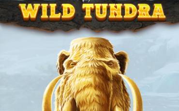 Wild Tundra slot (Canada)