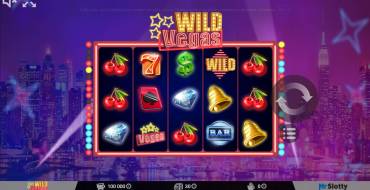 Wild Vegas: Interface