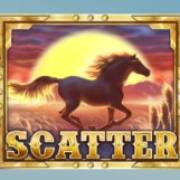 Wild Wild Horses: Scatter