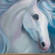 Wild Wild Horses: White horse