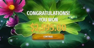 Wings of Riches: Winnings