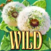 Wings of Riches: Wild