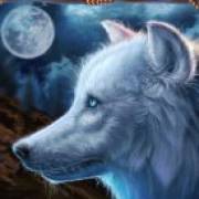 Wolf Canyon: Hold & Win: White wolf