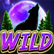 Wolf Peak: Wild