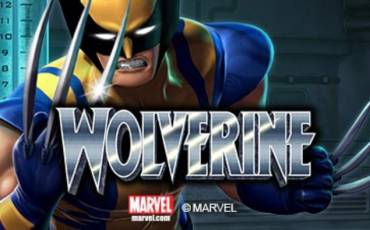 Wolverine slot (Canada)