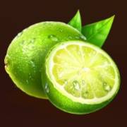 Xtreme Summer Hot: Lime