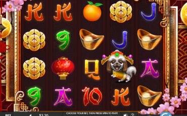 Year of the Dog slot (Canada)